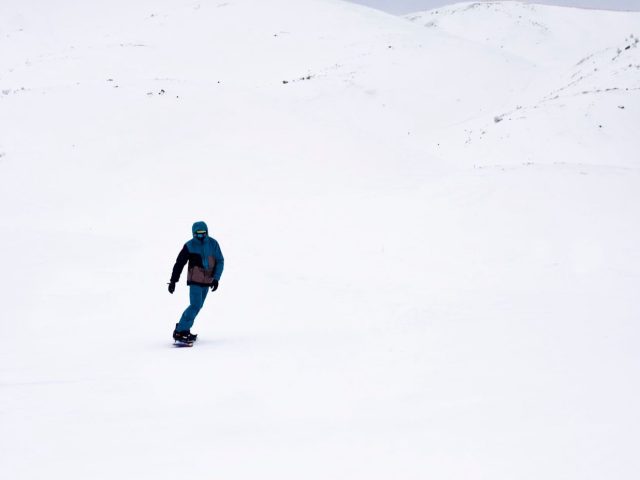 Avis Burton Family Tree Splitboard — synthèse 04/09/2026