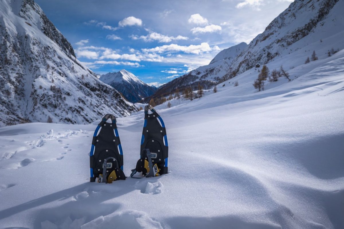 Meilleurs splitboards pour poudre profonde — guide comparatif