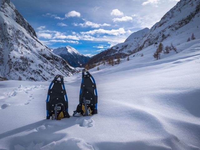 Meilleurs splitboards pour poudre profonde — guide comparatif