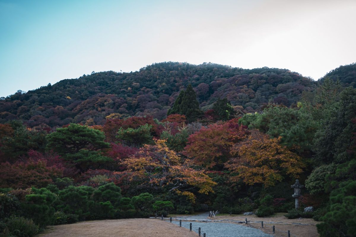Nouvelle accessibilité des massifs japonais pour les sports d&rsquo;hiver