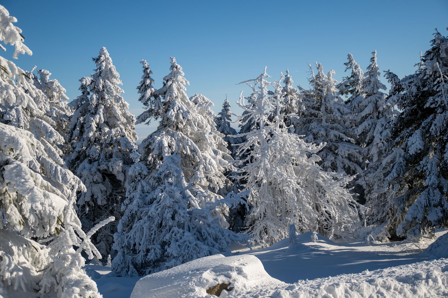 Réparer et reposer une peau de splitboard en sortie