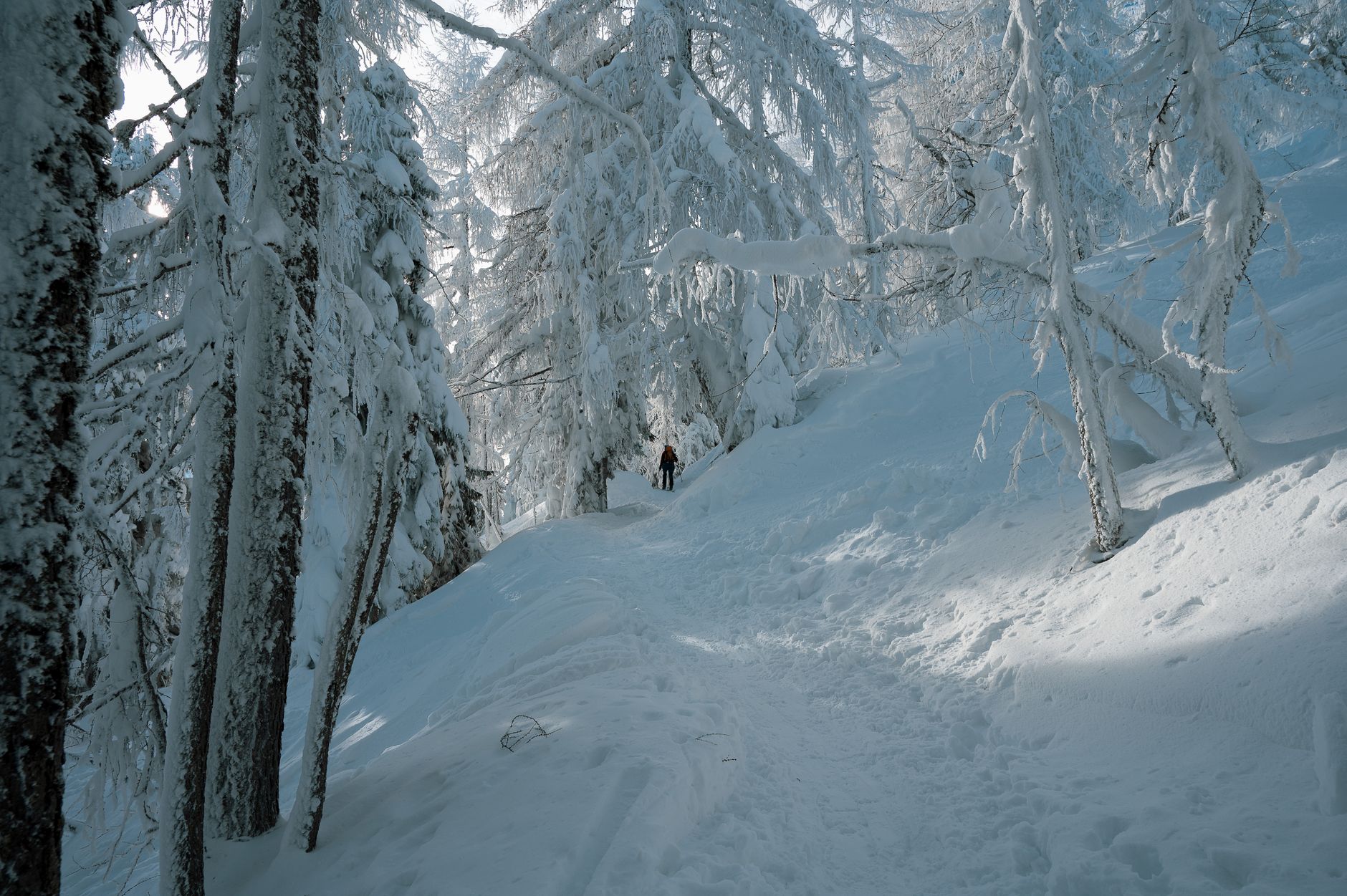 Logistique et hébergement pour itinéraire poudre en massif alpin