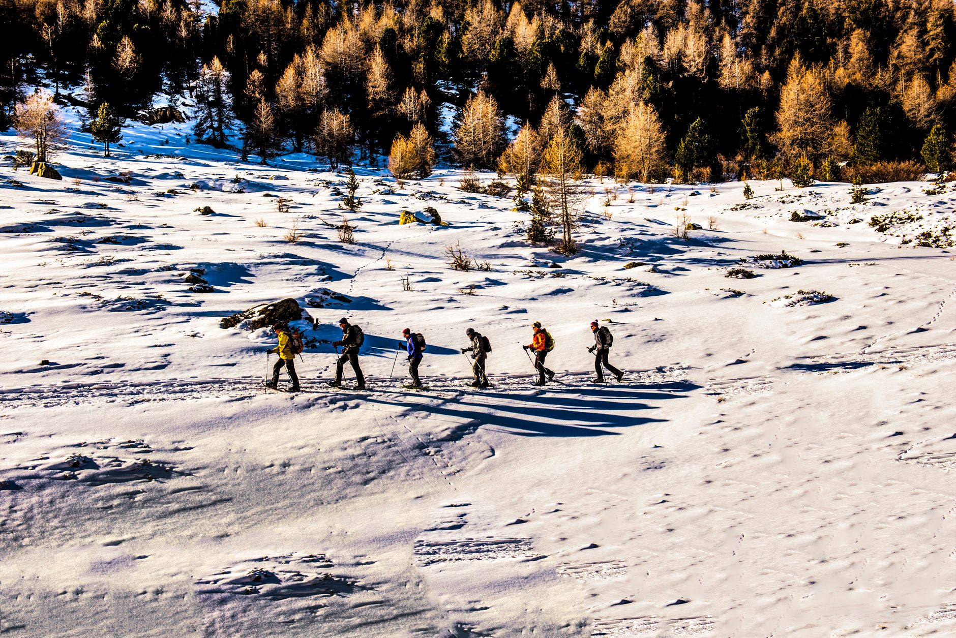Meilleurs splitboards ultralégers pour randonnée