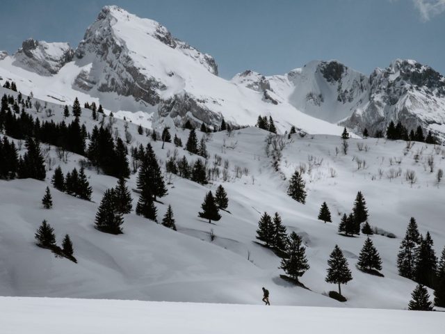 Avis fixation Voilé Light Speed pour splitboard